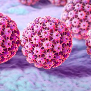 راه‌اندازی تست غربالگری و تعیین نوع ویروس HPV در آزمایشگاه جامع سلامت تبریز