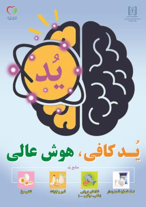 کمپین آموزش همگانی ارتقا دریافت ید با شعار « یُد کافی، هوش عالی» در سراسر استان اجرا می‌شود.