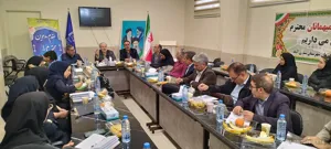 پایش فنی و مدیریتی برنامه‌های اجرایی شبکه بهداشت و درمان شهرستان بستان‌آباد