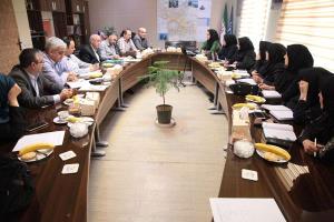 برگزاری نشست هم اندیشی سقط قانونی جنین با ناهنجاریهای مادرزادی