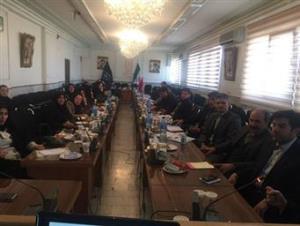 برگزاری نشست فصلی گروه سلامت نوجوانان، جوانان و مدارس 