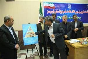 رونمایی از هرم غذایی جدید