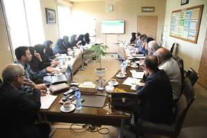 برگزاری اولین نشست فصلی گروه کارشناسان بهداشت دهان و دندان 