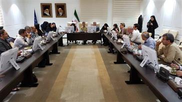 جلسه مشترک نمایندگان معاونت بهداشت وزارت و اداره کل بیمه سلامت کشور در تبریز