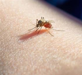 ایران در آستانه خطر آئدسهای مهاجم