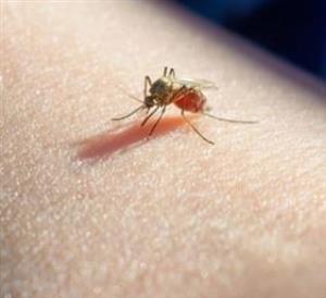 ایران در آستانه خطر آئدسهای مهاجم