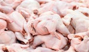 مرغ‌های کوچک انتخاب کنیم