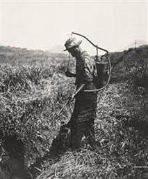 Zero malaria, starts with me  