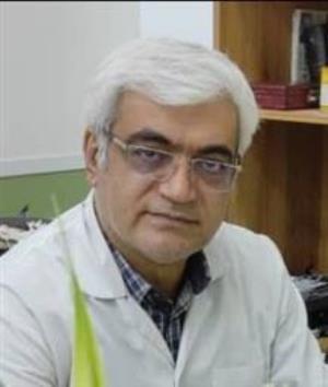 شایع ‌ترین بیماری زنان پوکی استخوان / نقش مهم باروری و شیردهی در سلامت زنان