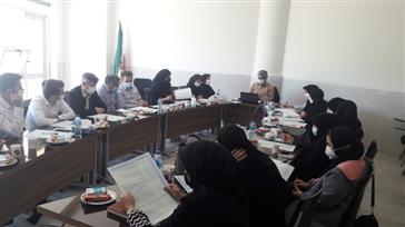 نشست فصلی گروه کارشناسان بهبود تغذیه جامعه استان
