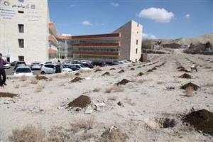 در راستای توسعه فضای سبز در محوطه مرکز بهداشت استان چند اصله نهال بصورت نمادین کاشته شد.