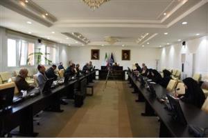 برگزاری جلسه هم اندیشی کارگروه کاهش بار بیماری ها در دانشگاه علوم پزشکی تبریز